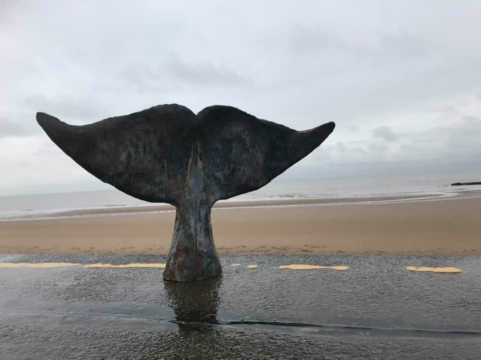 Whale tail for Prestatyn